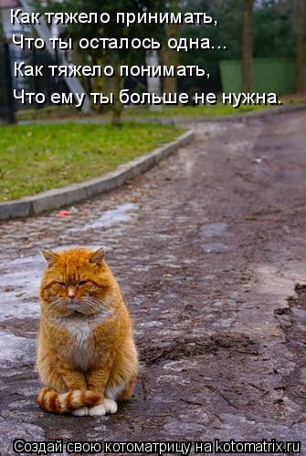 Как тяжело принимать, Что ты осталось одна... Как тяжело понимать, Что ему ты больше не нужна…... Котоматрица: Как тяжело принимать, Что ты осталось одна... Как тяжело понимать, Что ему ты больше не нужна…