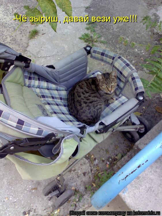 -Чё зыриш, давай вези уже!!!... Котоматрица: -Чё зыриш, давай вези уже!!!