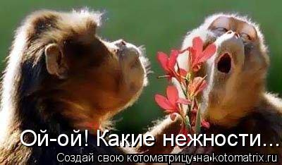 Котоматрица: Ой-ой! Какие нежности...