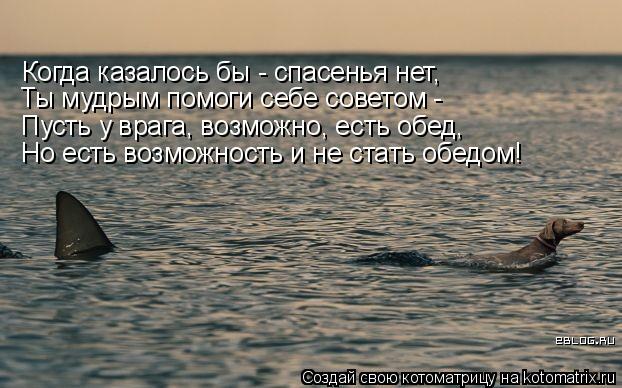 Когда казалось бы - спасенья нет, Ты мудрым помоги себе советом - Пусть у врага, возможно, есть обед,... Котоматрица: Когда казалось бы - спасенья нет, Ты мудрым помоги себе советом - Пусть у врага, возможно, есть обед, Но есть возможность и не стать обедом!