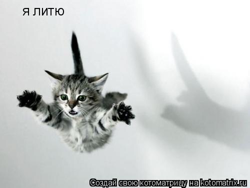 я литю... Котоматрица: я литю