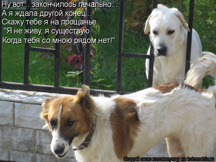 Ну вот... закончилось печально... А я ждала другой конец... Скажу тебе я на прощанье "Я не живу, я су... Котоматрица: Ну вот... закончилось печально... А я ждала другой конец... Скажу тебе я на прощанье "Я не живу, я существую Когда тебя со мною рядом нет!"