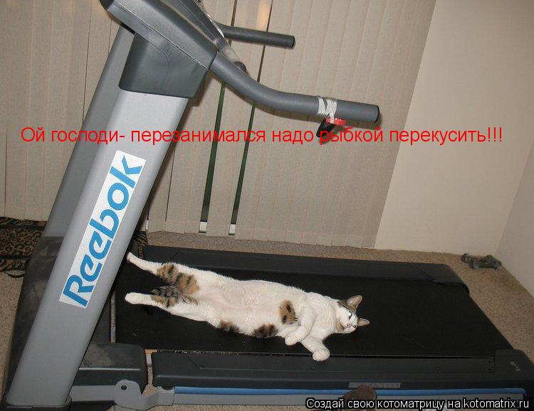 Ой господи- перезанимался надо рыбкой перекусить!!!... Котоматрица: Ой господи- перезанимался надо рыбкой перекусить!!!
