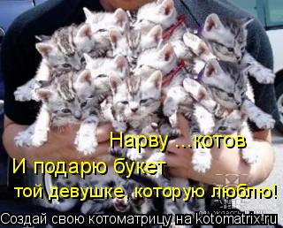 Котоматрица: той девушке, которую люблю! И подарю букет Нарву ...котов