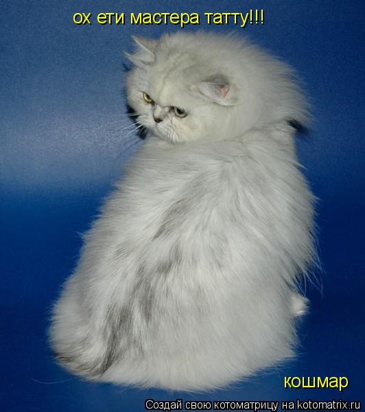 ох ети мастера татту!!! кошмар... Котоматрица: ох ети мастера татту!!! кошмар