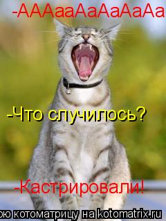 -АААааАаАаАаАа -Что случилось? -Кастрировали!... Котоматрица: -АААааАаАаАаАа -Что случилось? -Кастрировали!