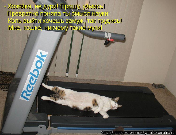 - Хозяйка, не дури! Прошу, уймись! Превратно поняла ты смысл науки: Коль выйти хочешь замуж, так труд... Котоматрица: - Хозяйка, не дури! Прошу, уймись! Превратно поняла ты смысл науки: Коль выйти хочешь замуж, так трудись! Мне, кошке, никчему такие муки!