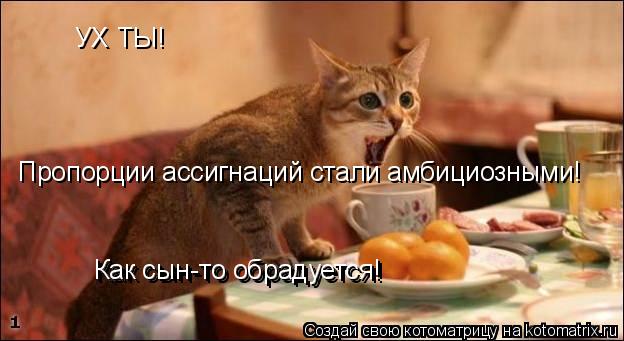 Котоматрица: УХ ТЫ! Пропорции ассигнаций стали амбициозными! Как сын-то обрадуется! Как сын-то обрадуется!