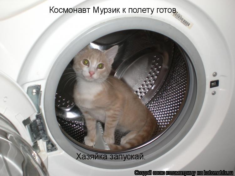 Котоматрица: Космонавт Мурзик к полету готов. Хазяйка запускай.