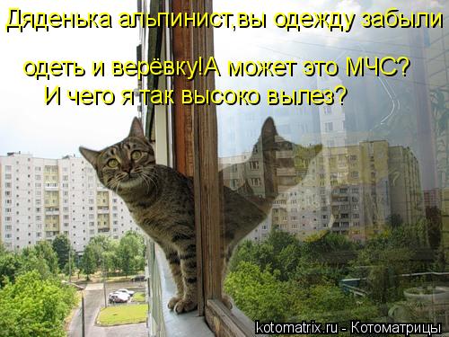 Дяденька альпинист,вы одежду забыли одеть и верёвку!А может это МЧС? одеть и верёвку!А может это МЧС?... Котоматрица: Дяденька альпинист,вы одежду забыли одеть и верёвку!А может это МЧС? одеть и верёвку!А может это МЧС? И чего я так высоко вылез?
