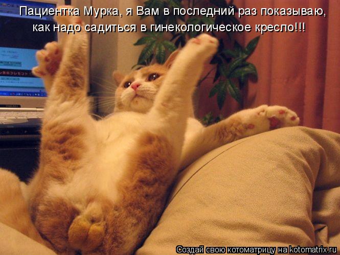 Котоматрица: Пациентка Мурка, я Вам в последний раз показываю, как надо садиться в гинекологическое кресло!!!
