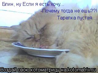 Котоматрица: Блин, ну Если я есть хочу... Блин, ну Если я есть хочу... -Почему тогда не ешь??! -Почему тогда не ешь??! Тарелка пустая...