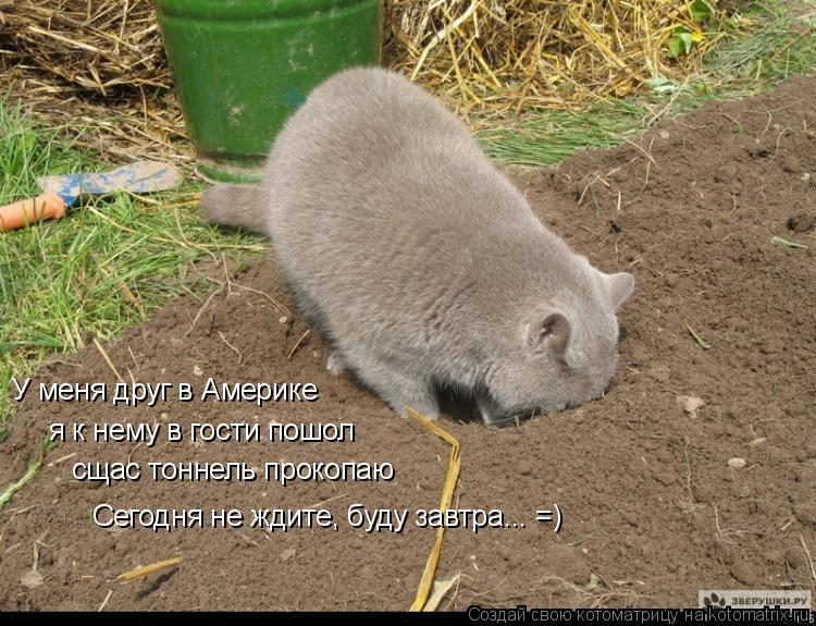 Котоматрица: У меня друг в Америке я к нему в гости пошол сщас тоннель прокопаю Сегодня не ждите, буду завтра... =)
