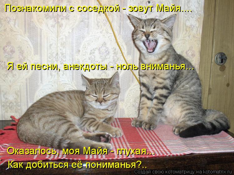 Познакомили с соседкой - зовут Майя.... Я ей песни, анекдоты - ноль вниманья... Оказалось, моя Майя -... Котоматрица: Познакомили с соседкой - зовут Майя.... Я ей песни, анекдоты - ноль вниманья... Оказалось, моя Майя - глухая... Как добиться её пониманья?..