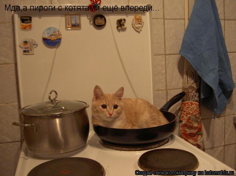 Мда,а пироги с котятами ещё впереди...... Котоматрица: Мда,а пироги с котятами ещё впереди...