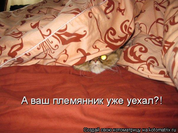 А ваш племянник уже уехал?!... Котоматрица: А ваш племянник уже уехал?!