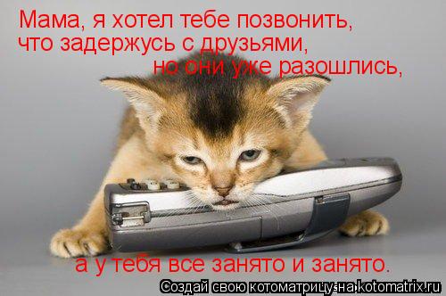 Котоматрица: Мама, я хотел тебе позвонить, что задержусь с друзьями,  но они уже разошлись, а у тебя все занято и занято.