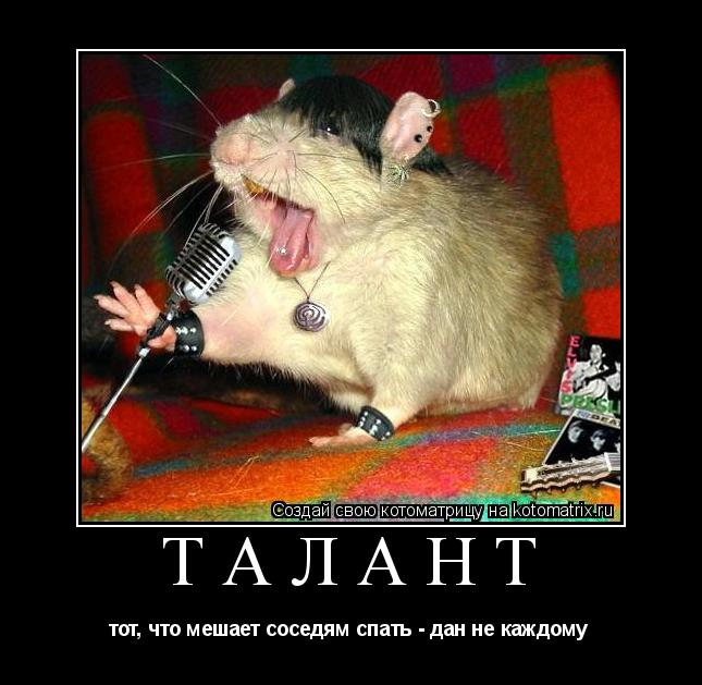Котоматрица: ТАЛАНТ тот, что мешает соседям спать - дан не каждому 