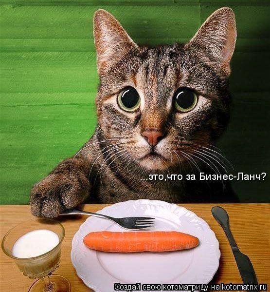 Котоматрица: ...это,что за Бизнес-Ланч?