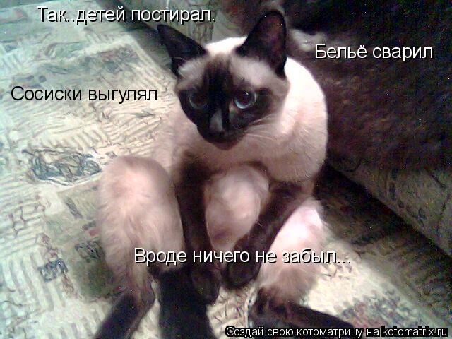 Котоматрица: Так..детей постирал. Бельё сварил Сосиски выгулял Вроде ничего не забыл...