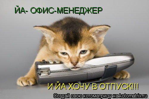 ЙА- ОФИС-МЕНЕДЖЕР И ЙА ХОЧУ В ОТПУСК!!!... Котоматрица: ЙА- ОФИС-МЕНЕДЖЕР И ЙА ХОЧУ В ОТПУСК!!!