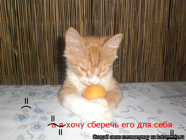 Котоматрица: а я хочу сберечь его для себя =( =( =( =(