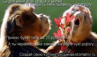 Котоматрица: Ты для меня всех краше и милей, Я покорить тебя пытаюсь, недотрогу: Принес букет тебе за 25 рублей, А ты червонец мне зажала на обратную дорогу