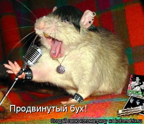 Котоматрица: Продвинутый бух!