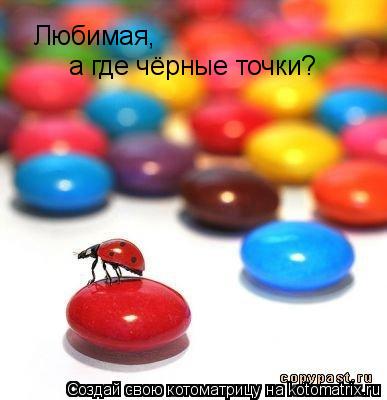 Котоматрица: Любимая, а где чёрные точки?