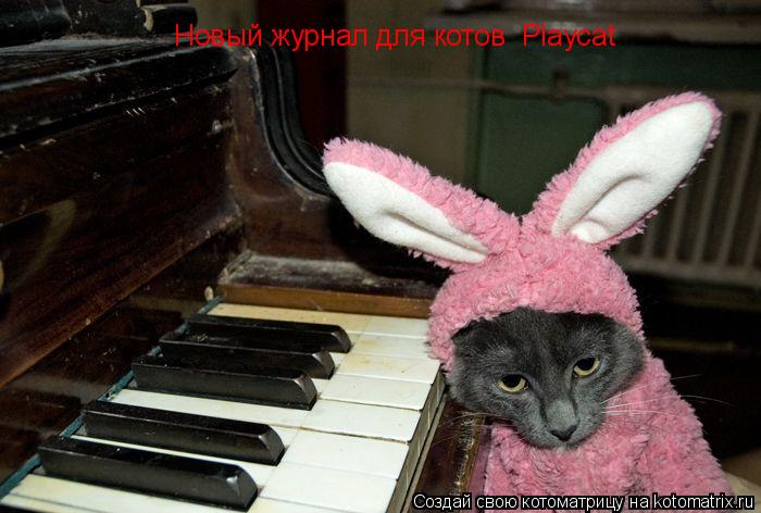 Котоматрица: Новый журнал для котов  Plаycat