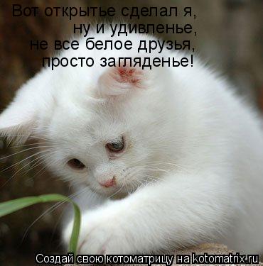 Котоматрица: Вот открытье сделал я, ну и удивленье, не все белое друзья, просто загляденье!
