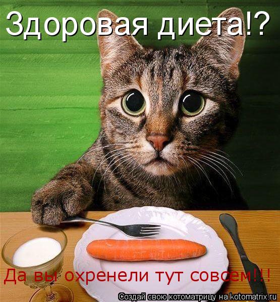 Здоровая диета!? Да вы охренели тут совсем!!!... Котоматрица: Здоровая диета!? Да вы охренели тут совсем!!!