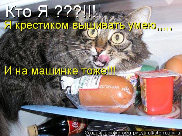 Кто Я ???!!! Я крестиком вышивать умею,,,,, И на машинке тоже!!!... Котоматрица: Кто Я ???!!! Я крестиком вышивать умею,,,,, И на машинке тоже!!!