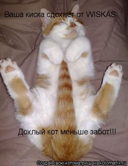 Ваша киска сдохнет от WISKAS Дохлый кот меньше забот!!!... Котоматрица: Ваша киска сдохнет от WISKAS Дохлый кот меньше забот!!!