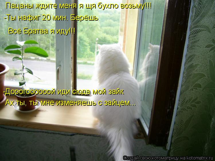 Котоматрица: Пацаны ждите меня я щя бухло возьму!!! -Ты нафиг 20 мин. Берёшь -Дорогоооооой иди сюда мой зайк Ах ты, ты мне изменяешь с зайцем... Всё Братва я ид