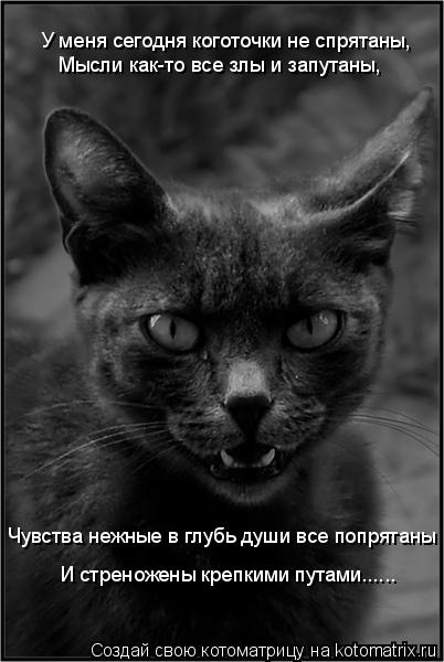 У меня сегодня коготочки не спрятаны, Мысли как-то все злы и запутаны, Чувства нежные в глубь души вс... Котоматрица: У меня сегодня коготочки не спрятаны, Мысли как-то все злы и запутаны, Чувства нежные в глубь души все попрятаны И стреножены крепкими путам