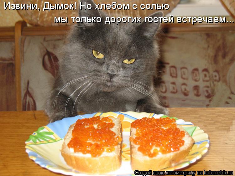 Извини, Дымок! Но хлебом с солью мы только дорогих гостей встречаем...... Котоматрица: Извини, Дымок! Но хлебом с солью мы только дорогих гостей встречаем...