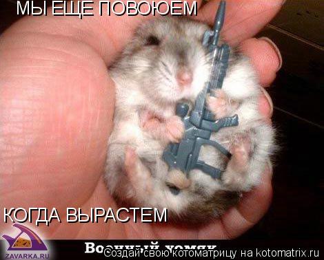 Котоматрица: МЫ ЕЩЕ ПОВОЮЕМ КОГДА ВЫРАСТЕМ