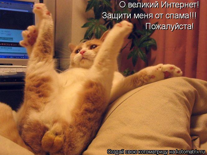 Котоматрица: О великий Интернет! Защити меня от спама!!! Пожалуйста!