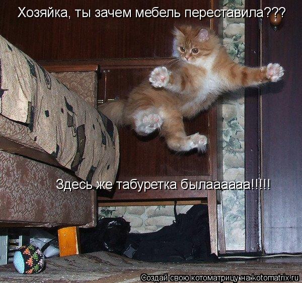 Хозяйка, ты зачем мебель переставила??? Здесь же табуретка былаааааа!!!!!... Котоматрица: Хозяйка, ты зачем мебель переставила??? Здесь же табуретка былаааааа!!!!!