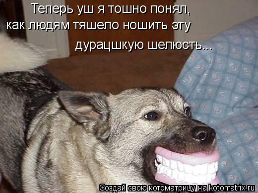 Котоматрица: Теперь уш я тошно понял, как людям тяшело ношить эту  дурацшкую шелюсть...
