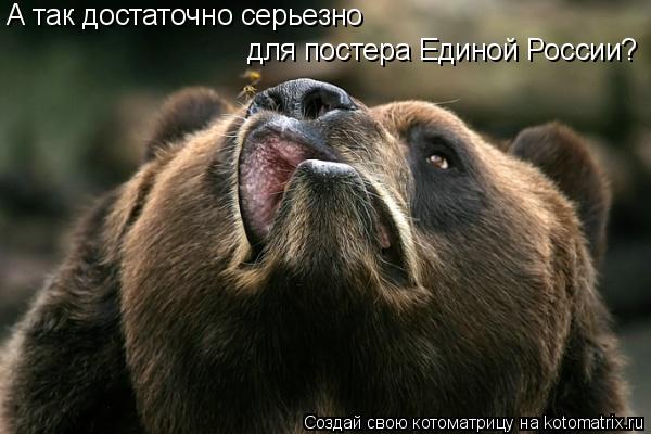 А так достаточно серьезно для постера Единой России?... Котоматрица: А так достаточно серьезно для постера Единой России?