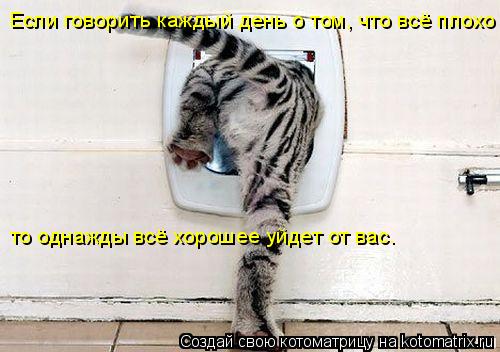 Если говорить каждый день о том, что всё плохо то однажды всё хорошее уйдет от вас.... Котоматрица: Если говорить каждый день о том, что всё плохо то однажды всё хорошее уйдет от вас.
