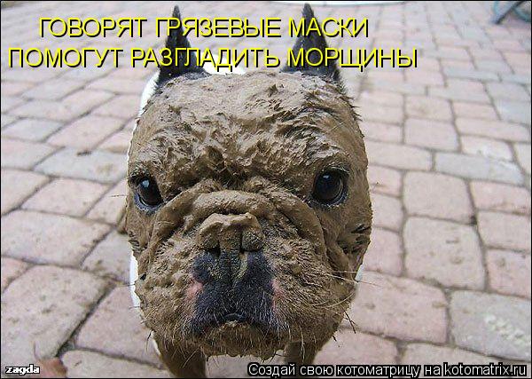 Котоматрица: ГОВОРЯТ ГРЯЗЕВЫЕ МАСКИ ПОМОГУТ РАЗГЛАДИТЬ МОРЩИНЫ