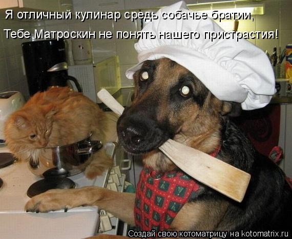 Котоматрица: Я отличный кулинар средь собачье братии, Тебе Матроскин не понять нашего пристрастия!