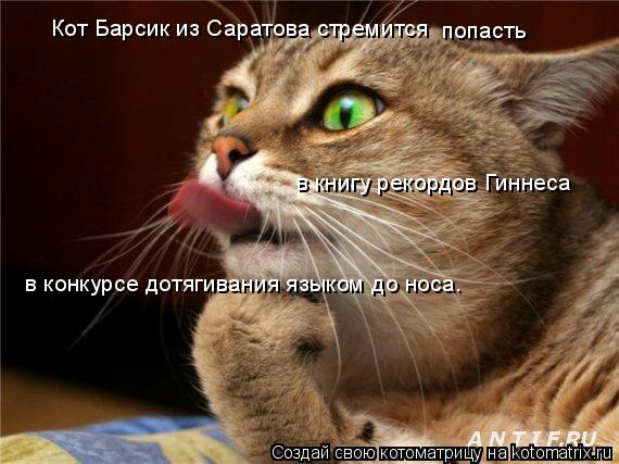 Кот Барсик из Саратова стремится попасть в книгу рекордов Гиннеса в конкурсе дотягивания языком до но... Котоматрица: Кот Барсик из Саратова стремится попасть в книгу рекордов Гиннеса в конкурсе дотягивания языком до носа.