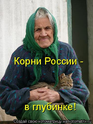 Корни России - в глубинке!... Котоматрица: Корни России - в глубинке!