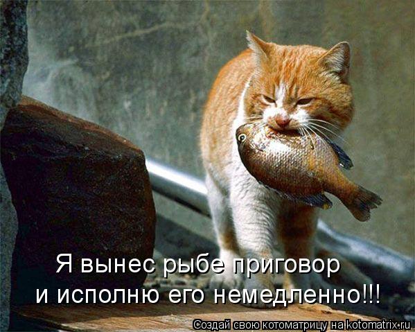 и исполню его немедленно!!! Я вынес рыбе приговор... Котоматрица: и исполню его немедленно!!! Я вынес рыбе приговор