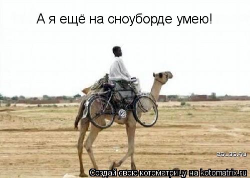 Котоматрица: А я ещё на сноуборде умею!