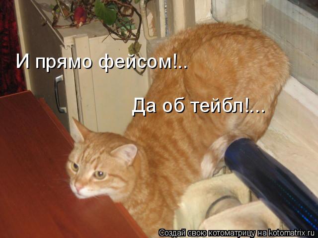 И прямо фейсом!.. Да об тейбл!...... Котоматрица: И прямо фейсом!.. Да об тейбл!...